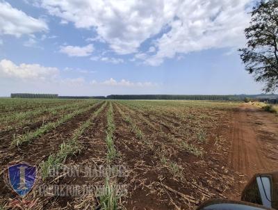 Fazenda para Venda, em Cerqueira C�sar, bairro RURAL
